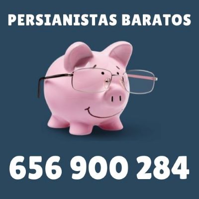 persianistas baratos en las rozas